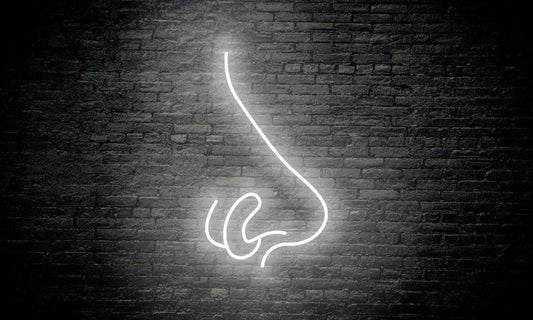 Piercing LED Neon Sign "NOSE"
