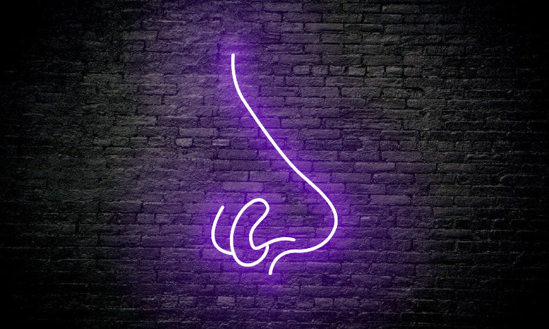 Piercing LED Neon Sign "NOSE"