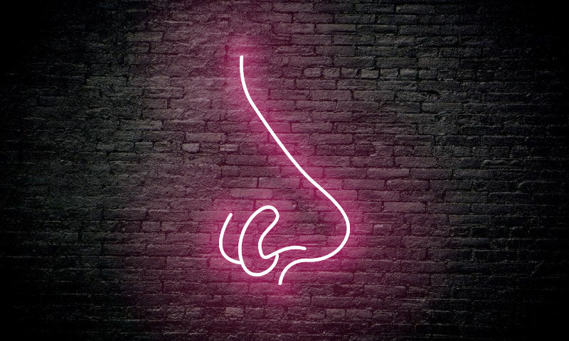 Piercing LED Neon Sign "NOSE"