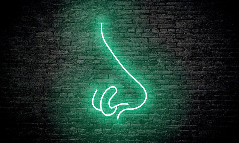 Piercing LED Neon Sign "NOSE"